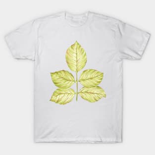 Green rose leaf T-Shirt